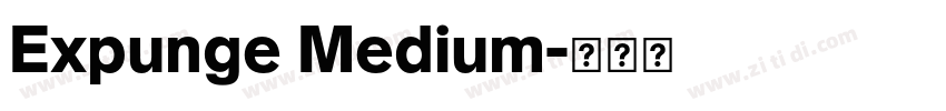 Expunge Medium字体转换